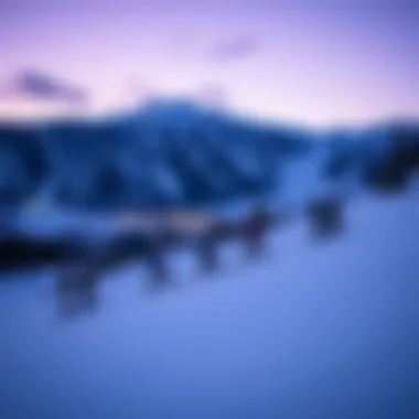 Magnificent Exploring Squaw Valley Snowboard Rental Options