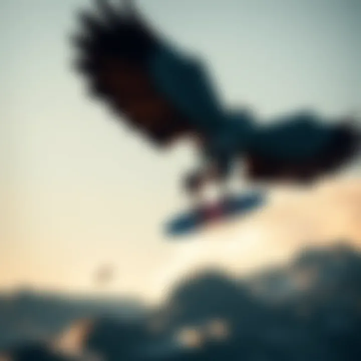 Magnificent The Art and Science of Wing Surfing