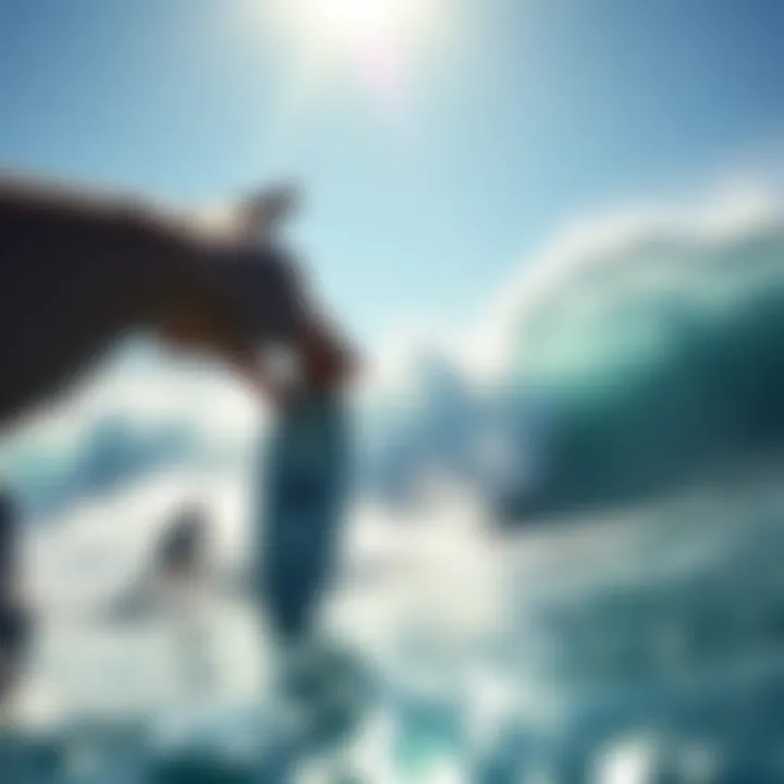 Magnificent The Optimal Surfing Hat: A Comprehensive Guide