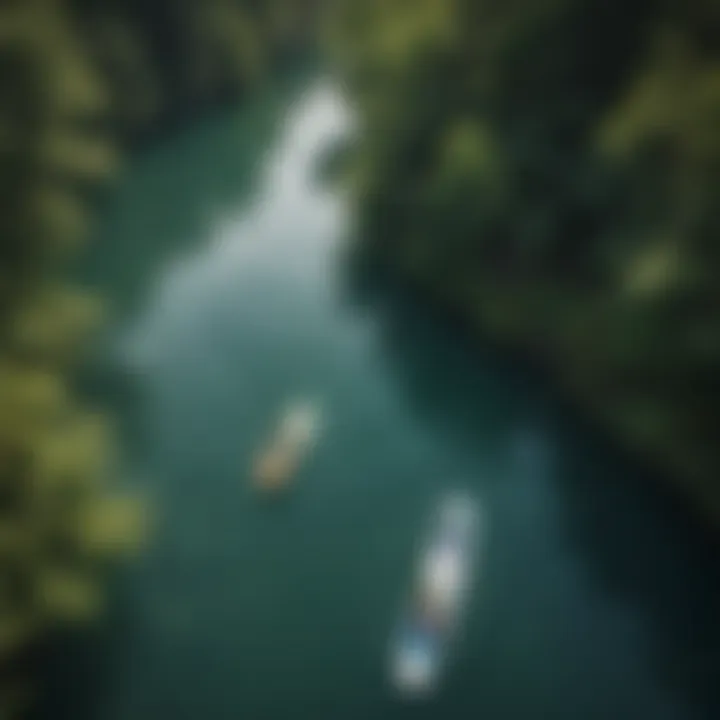 An aerial view of paddle boarders gliding on reflective waters bordered by lush greenery