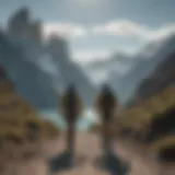 An In-depth Analysis of Patagonia 7 Shorts Introduction