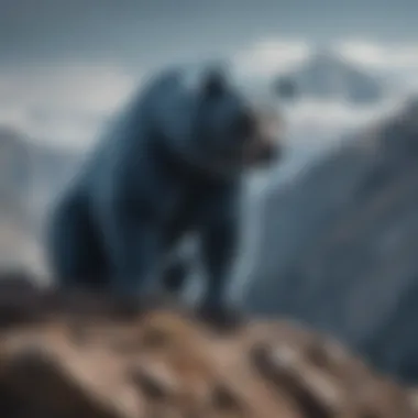 Mastering the Blue Bear Posture in Extreme Environments Athlete performing the blue bear posture on a mountain peak