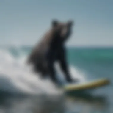 Silhouette of a surfer executing the blue bear posture on a wave