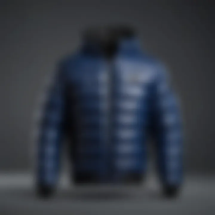 Blue and Black Puffer Jacket Front View