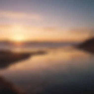 Ecological significance of Bolsa Chica Ecological features of Bolsa Chica