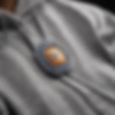 Close-up of the Iconic Champion Logo on the Silver Grey Hoodie Champion Logo Detail on Silver Grey Hoodie
