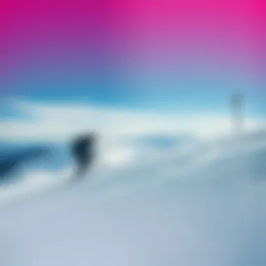 Expert Recommendations for Selecting Camber Snowboards Expert insights on choosing a camber snowboard