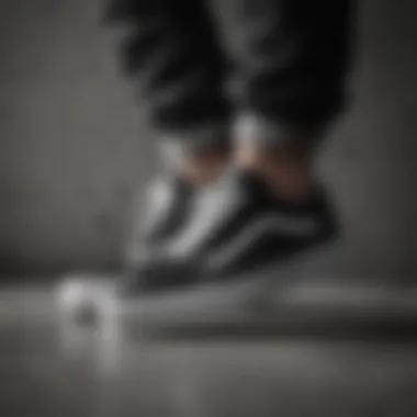 Classic Black and White Colorway Classic Black and White Colorway of Vans Old Skool Hearts Sneaker