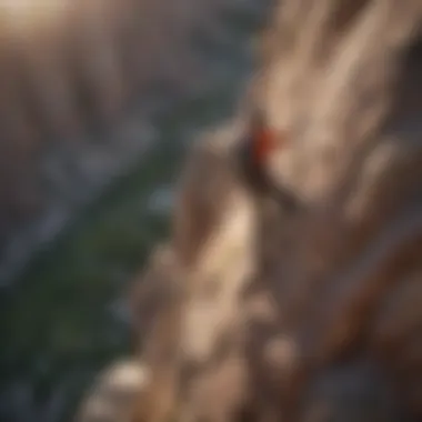 Rock climber ascending a challenging cliff with coil leash secured