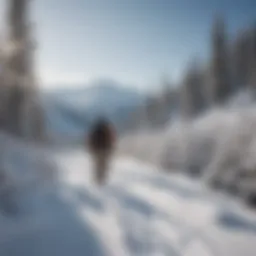 A serene snowy landscape showcasing a snowshoer traversing a winding trail