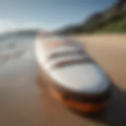 Overview of a triple surfboard bag showcasing its sleek design.