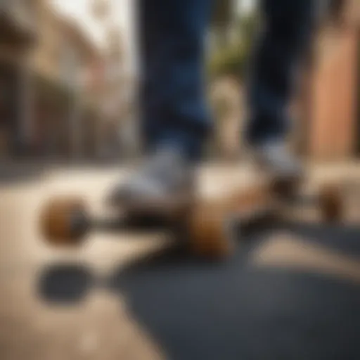 Different types of longboards showcased together