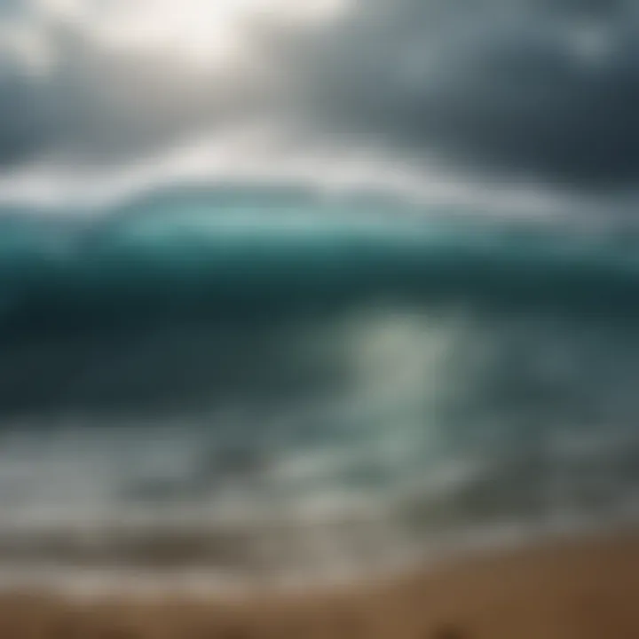 A detailed infographic depicting wave forecasting methodologies