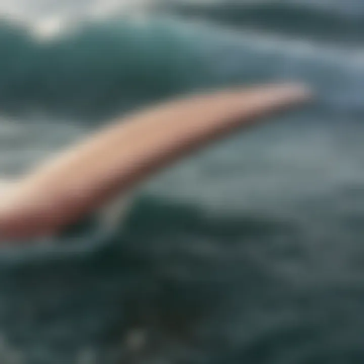 Detailed view of John John Florence's custom surf fin