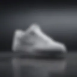 Innovative Nike Nyjah White Collection design