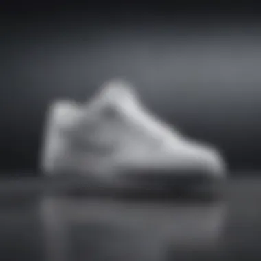 Innovative Nike Nyjah White Collection design