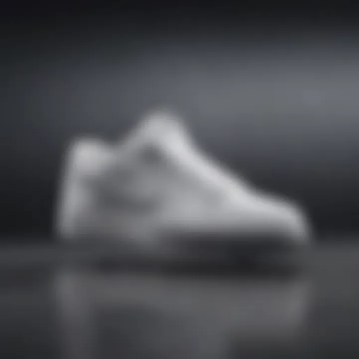 Innovative Nike Nyjah White Collection design