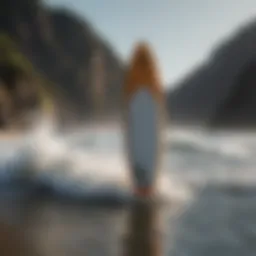 Cutting-Edge Technology of Arris Surfboard 6121