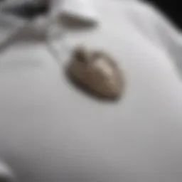 Elegant white long sleeve polo with crest emblem