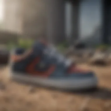 Fashion Forward Evolution Evolution of DC Shoes Pure Style
