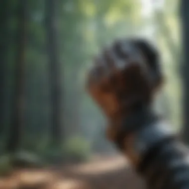 Immersive Adventure with the Excel Glove Excel Glove Athlete Experience