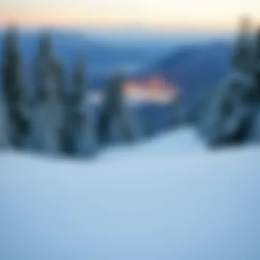 Notable Exploring Big Bear's Snowboarding Landscape: Lift Ticket Insights Notable Exploring Big Bear's Snowboarding Landscape: Lift Ticket Insights