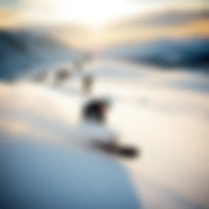 Exploring Big Bear's Snowboarding Landscape: Lift Ticket Insights Summary Exploring Big Bear's Snowboarding Landscape: Lift Ticket Insights Summary