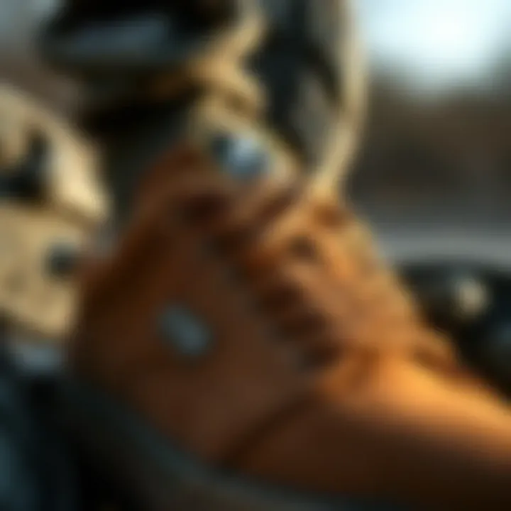 Close-up of Etnies footwear highlighting comfort features