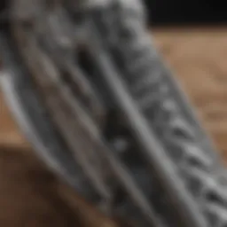 Close-up view of the Cabrinha Switchblade 12m showcasing its intricate design