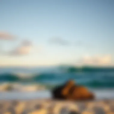 Secluded Beach with Ideal Surf Waves A secluded beach with perfect waves ideal for surfing in Fiji
