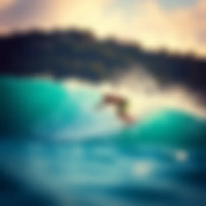 Exploring Foil Surfboards: A Comprehensive Guide to Your Next Purchase Summary