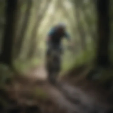 Thrilling Mountain Biking Trails in LaPoint Mountain biking through the lush trails of LaPoint