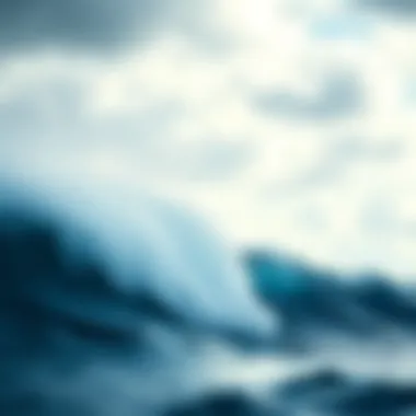 Integration of Real-Time Ocean Data in Applications Integration of real-time ocean data in applications