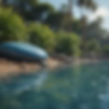 Relaxing setting of a pool with Pebble Tec Blue Surf surrounded by greenery