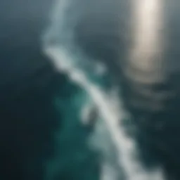 Aerial view of vast ocean expanse