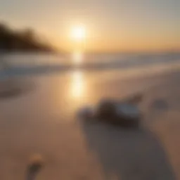 A serene sunrise over Fort Myers Beach with fishing rods set up in the sand