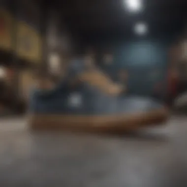 A selection of popular skate shoe brands with various styles