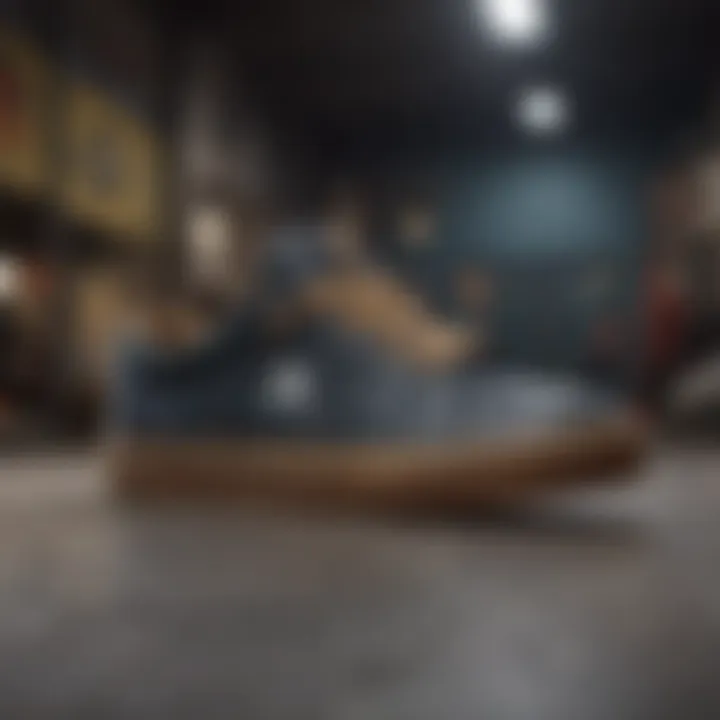 A selection of popular skate shoe brands with various styles