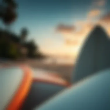 A Perfect Surf Spot for Beginners Scenic beach view with surfboards lined up