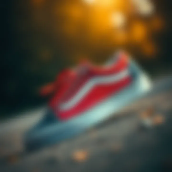 Notable Exploring the Colorways of Vans Old Skool: A Comprehensive Insight
