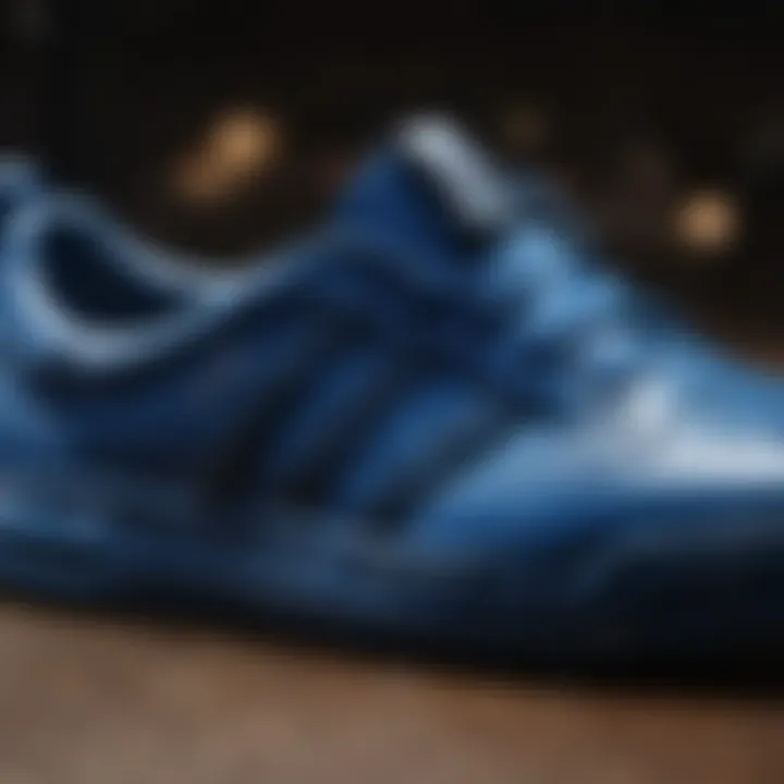 Close-up of blue Adidas shoes designed for extreme sports