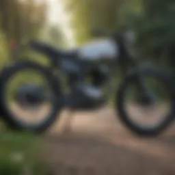A pristine used Haibike ready for sale in a vibrant outdoor setting