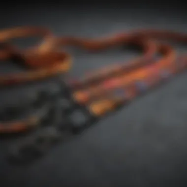 Creative customization options for multicolor lanyards