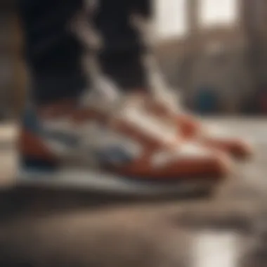 Exploring the Reebok C85 Vintage Men's Sneakers for Extreme Sports Enthusiasts Summary
