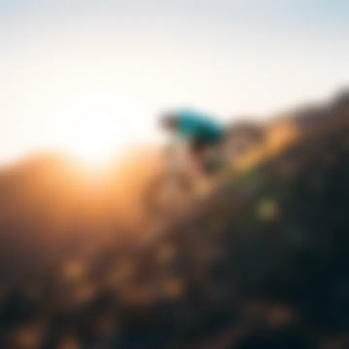 Exploring the Santa Cruz Deck 8.5: A Deep Dive into Performance and Design Summary