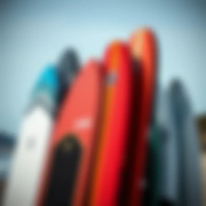 Variety of Body Boards Different types of body boards displayed together