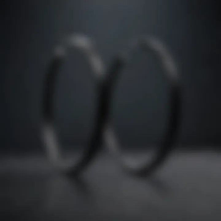 Minimalist Black Hoop Earrings