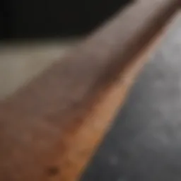 Close-up view of Grizzly Griptape texture