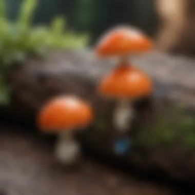 The Rising Popularity of Mushroom Belly Button Rings Growing Popularity of Mushroom Belly Button Rings