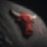 Iconic Chicago Bulls Logo Embroidery